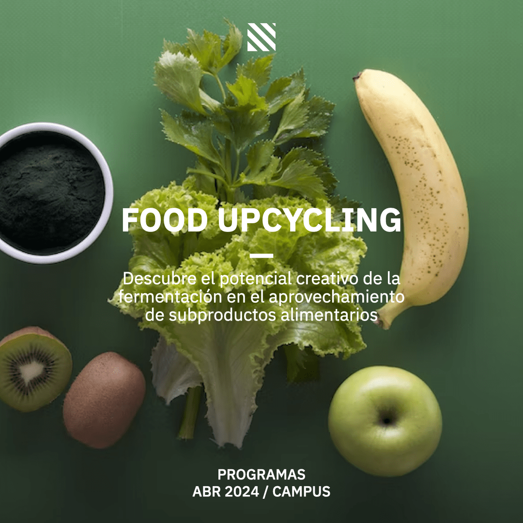 Programa Food Upcycling Singular Foods