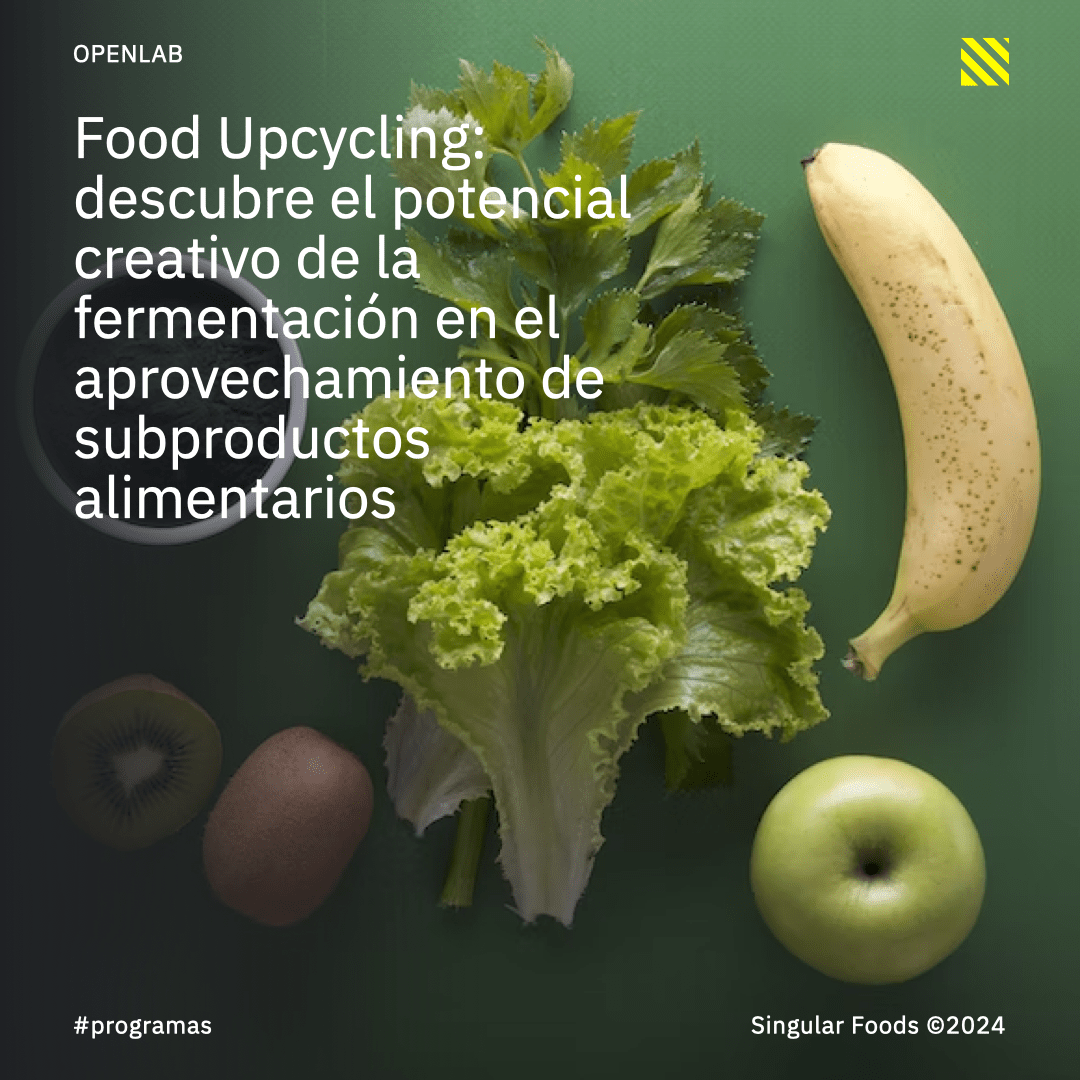 Food Upcycling Singular Foods