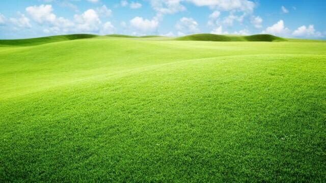 728616__green-grassland-wallpaper-wallpapers_p