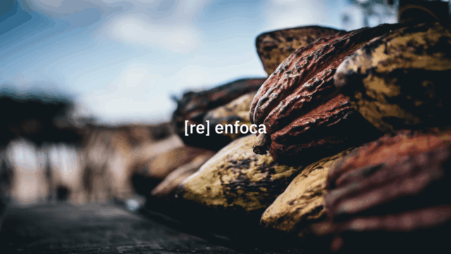 re enfoca 19.001