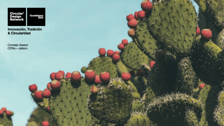 Portada Consejo Asesor CDNx—Jalisco.001