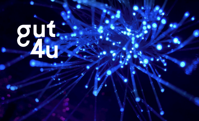 gut4u_file