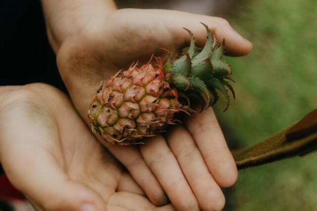 kawe-rodrigues-hWpQMQscyDs-unsplash